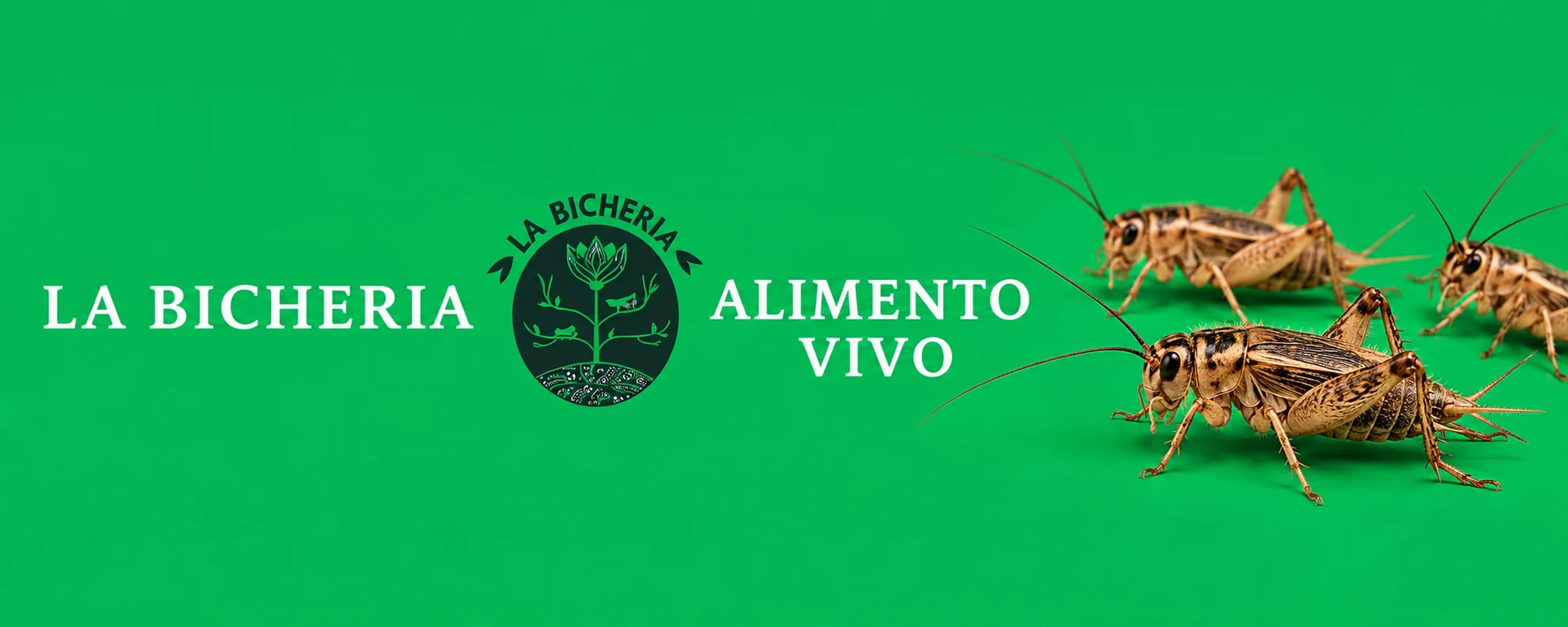 La Bichería, alimento vivo