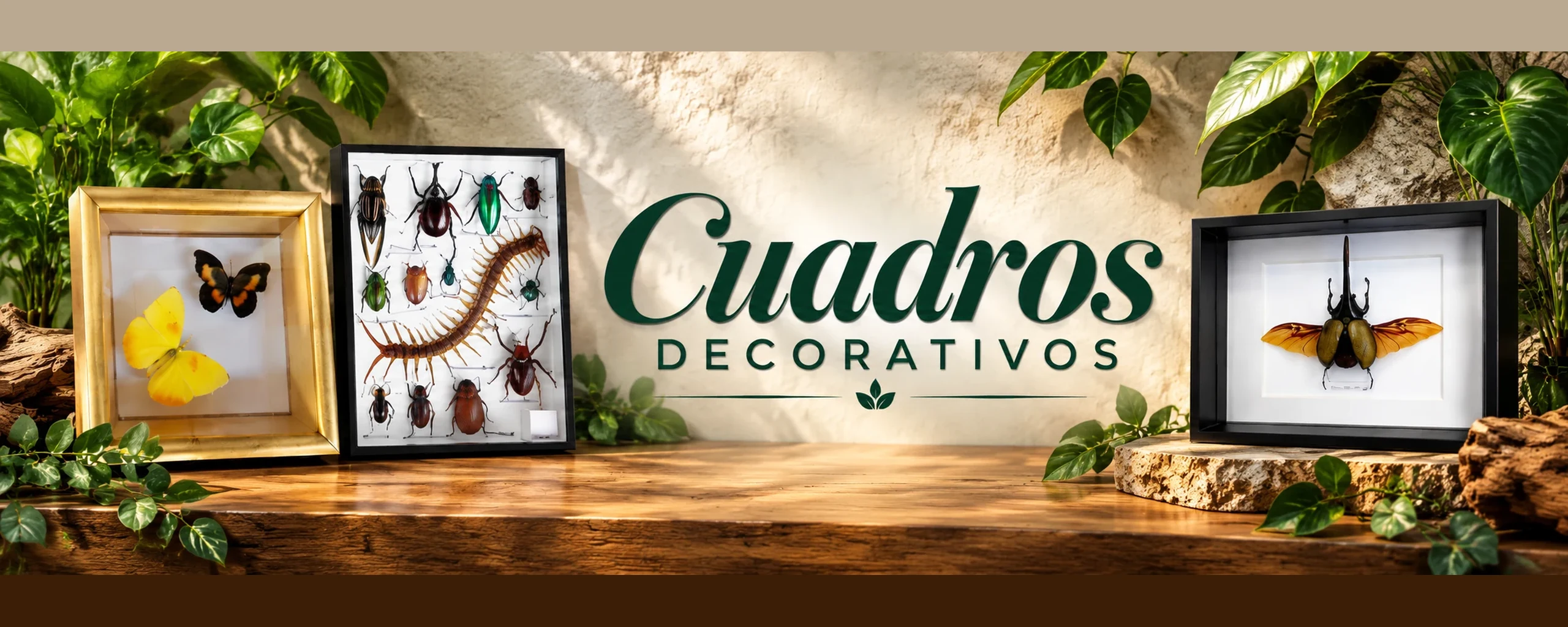 Cuadros decorativos con especímenes reales
