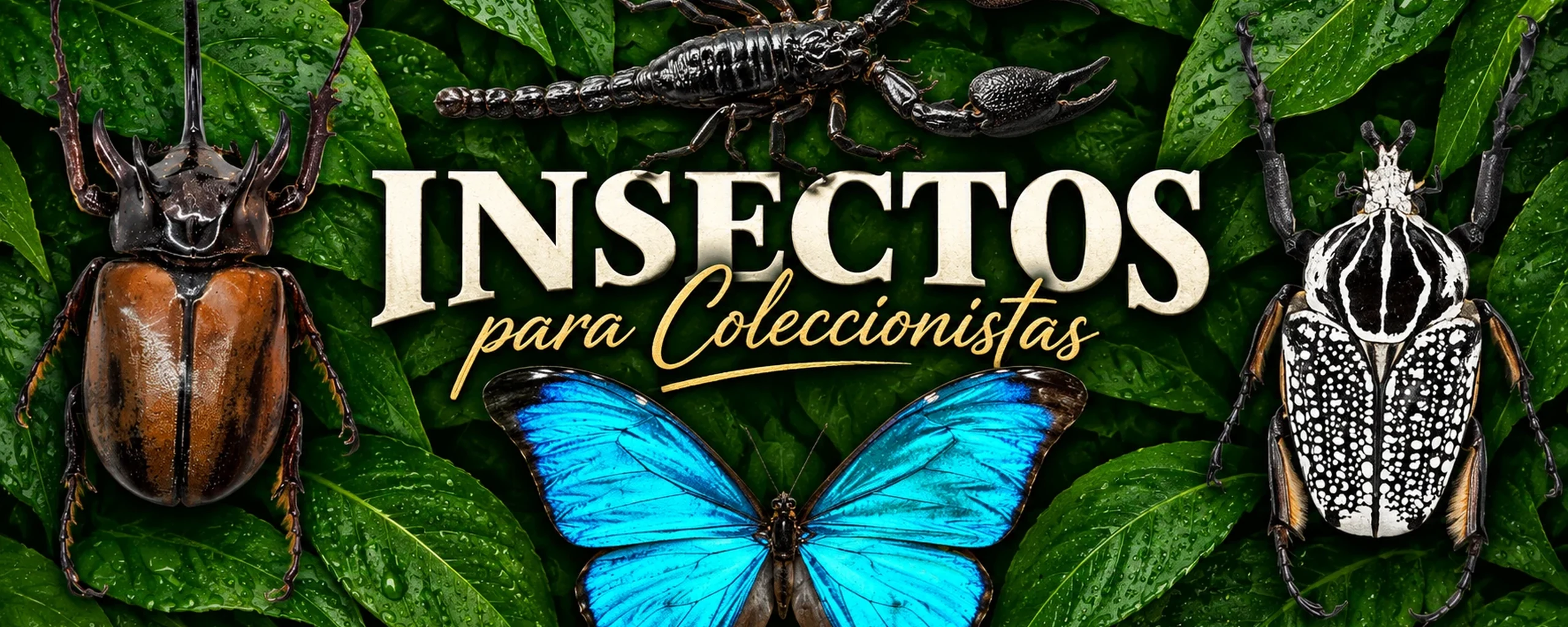 Insectos para coleccionistas