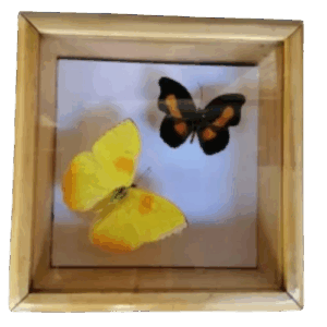 Cuadro decorativo con dos mariposas 15x15 cm